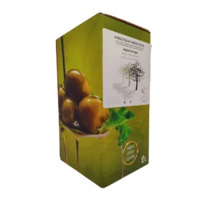 Huile d'olive de Santa Comba da Vilarica Portugal fontaine bag in box de 2 litres