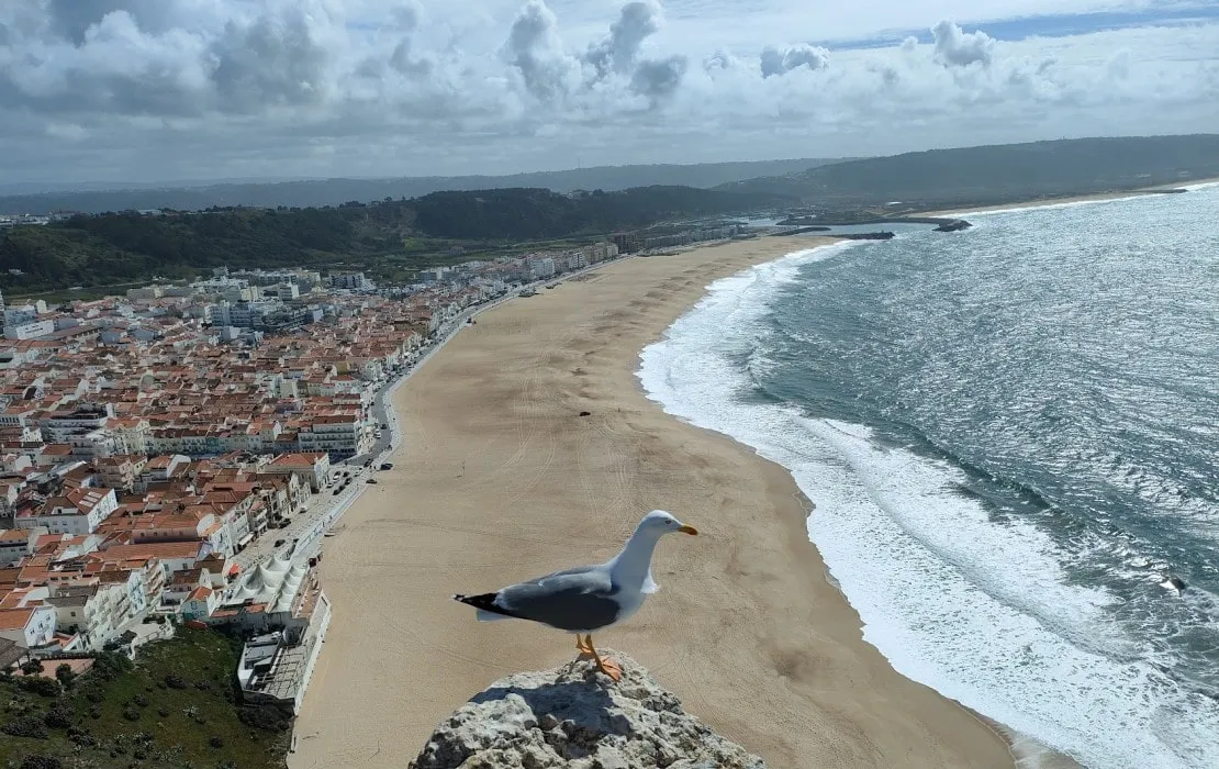 Nazaré Portugal la ville