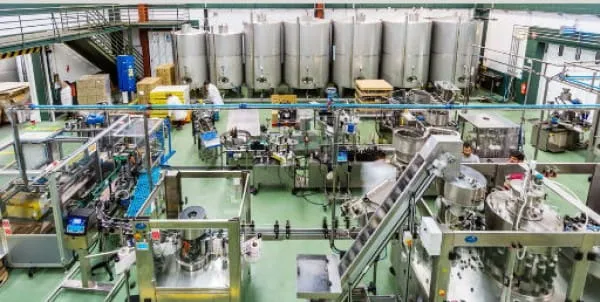 Coopérative d'huile d'olive de Valpacos vue intérieure